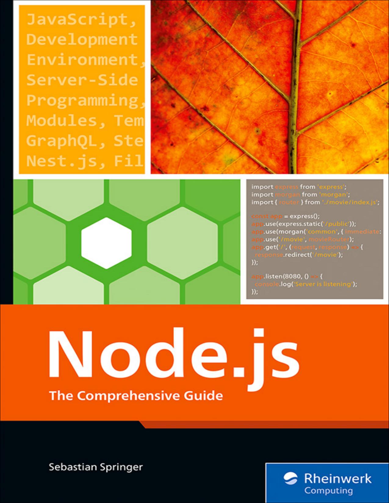 Springer S. Node.js.The Compreh